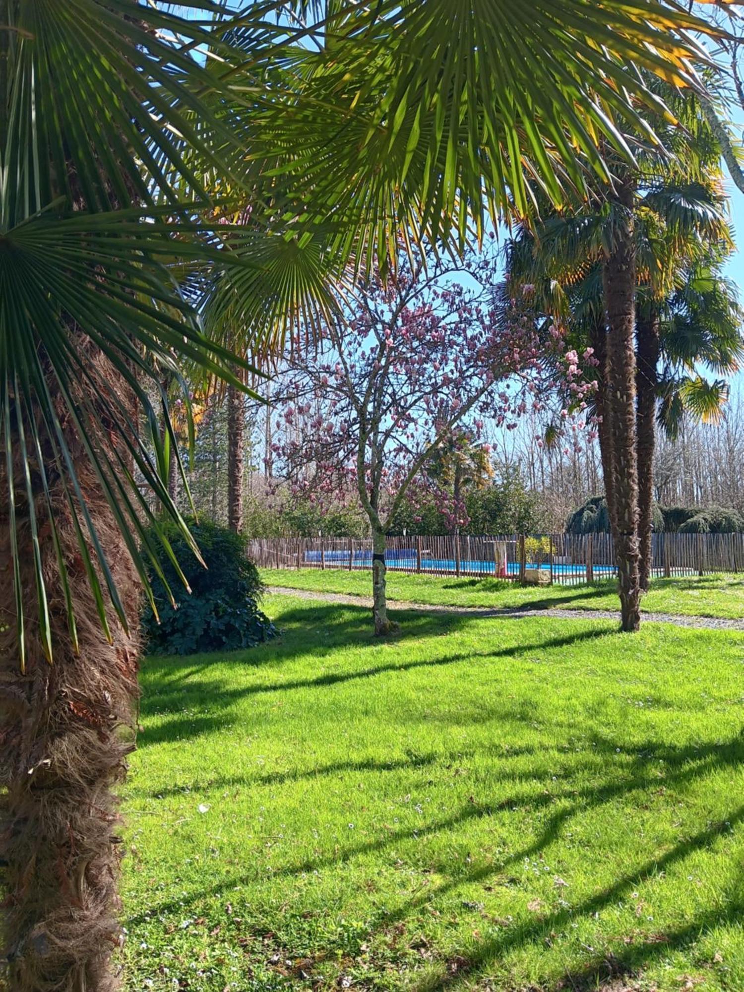 Gite Au Moulin Du Comte Bourrouillan Εξωτερικό φωτογραφία