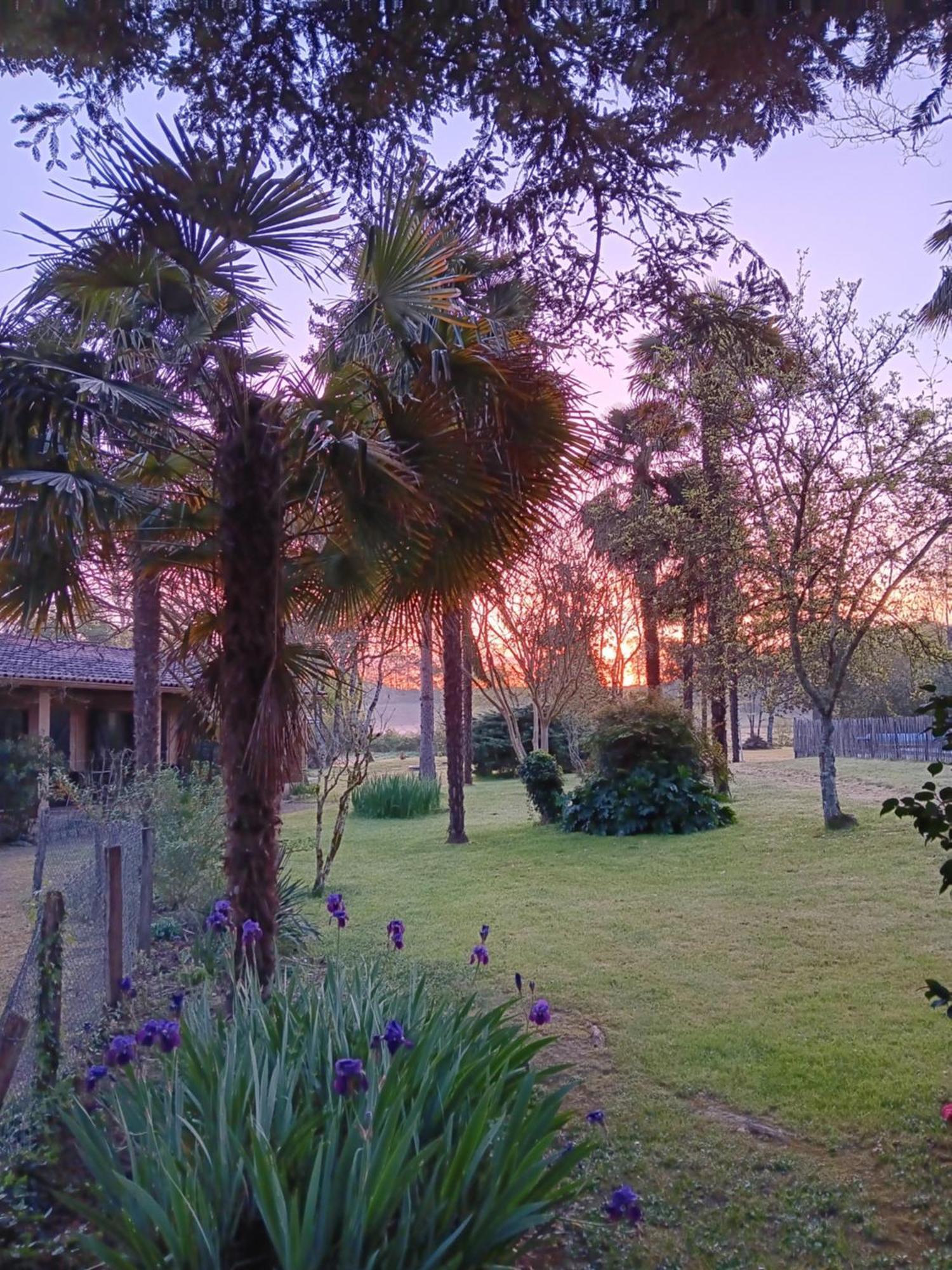 Gite Au Moulin Du Comte Bourrouillan Εξωτερικό φωτογραφία